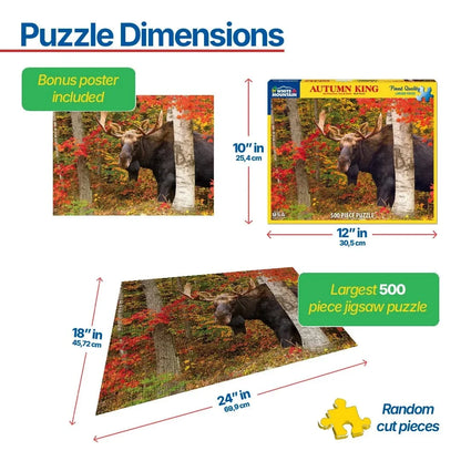 Puzzle Dimensions